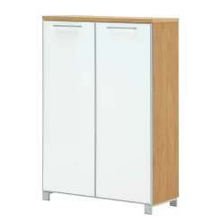 2 türiger Schuhschrank Wynoca in Weiß Glas beschichtet