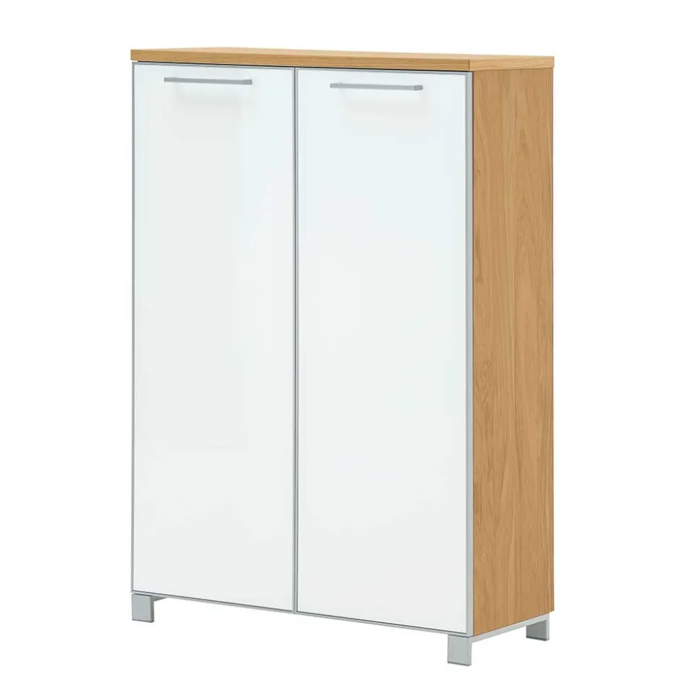 2 türiger Schuhschrank Wynoca in Weiß Glas beschichtet