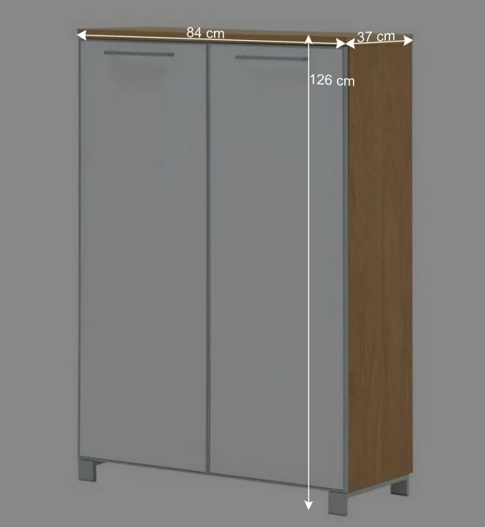 2 türiger Schuhschrank Wynoca in Weiß Glas beschichtet