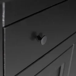 Abschließbare Vertiko Kommode in Schwarz - Wins