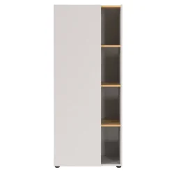 Aktenschrank in Hellgrau und Wildeiche Optik - Chiron