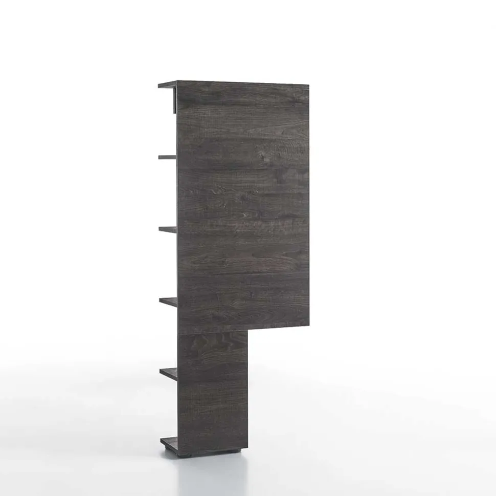 Anstellregal Element Riconia in Wenge Braun