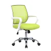 Armlehnen Büro-Drehstuhl in Hellgrün & Weiß - Lianessa