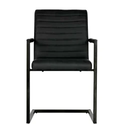 Armlehnen Freischwinger in Anthrazit - Birte (2er Set)