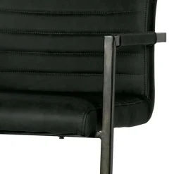 Armlehnen Freischwinger in Anthrazit - Birte (2er Set)