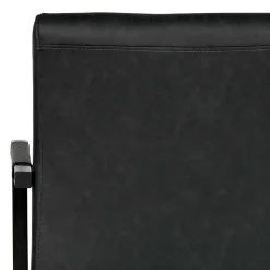 Armlehnen Freischwinger in Anthrazit - Birte (2er Set)