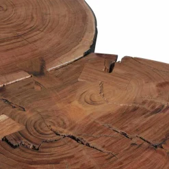 Baumscheiben Couchtisch Lariona mit Metall-Gestell