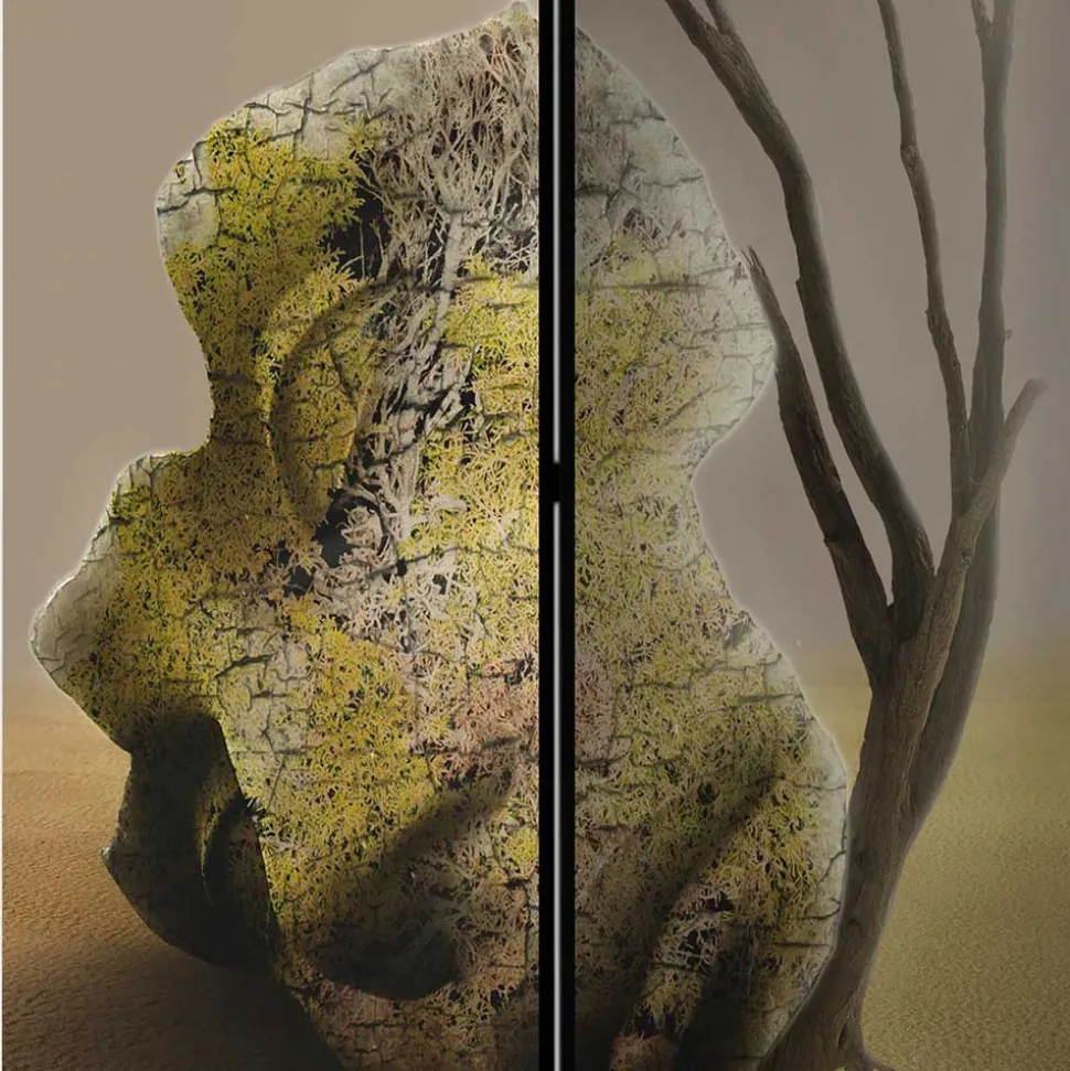 Bedruckter Foto Paravent Fantasy Motiv - Jabota