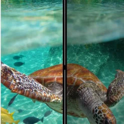 Bedruckter Paravent Urlaubsträume Meer & Bewohner - Luzillo