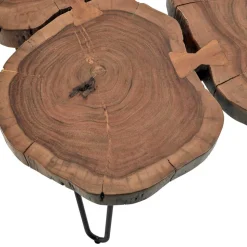 Beistelltisch aus Baumscheiben Akazie - Linuselia