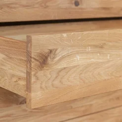 Design Eiche Schrank mit getönten Glastüren - Fabiella