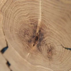 Design TV-Lowboard aus Eiche mit Glas - Masicuri