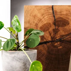 Design Wandregal mit Beleuchtung - Drinidad