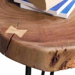 Designertisch Lariona mit Baumscheibe und Metall-Gestell