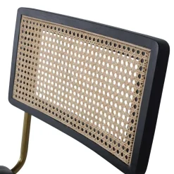 Designstühle mit Wiener Geflecht - Fina (2er Set)