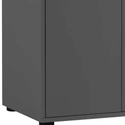 Doppeltür-Aktenschrank in Anthrazit - Brasova