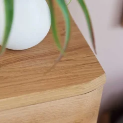 Echtholz Kommode 2-türig - Mabasa