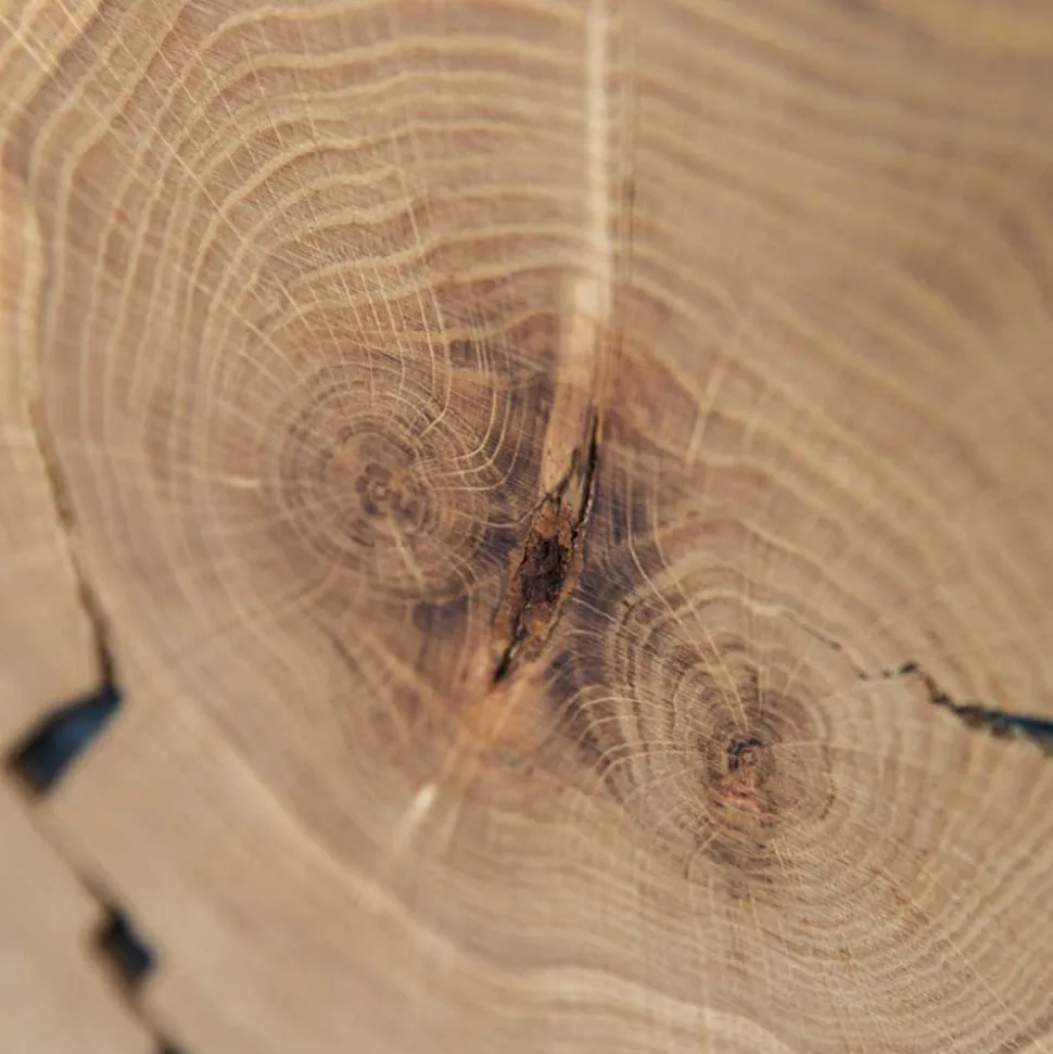 Eichenholz TV Board mit Hirnholz Applikation - Deruta