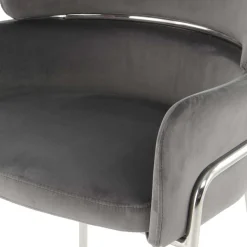 Eleganter Armlehnstuhl in Grau & Silber - Ecolosia