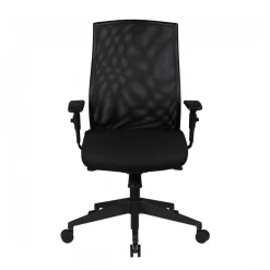 Ergonomischer Office Stuhl mit Mesh Rücken - Adejano