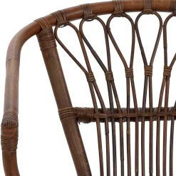 Esszimmer Rattanstuhl in Braun - Longford (2er Set)