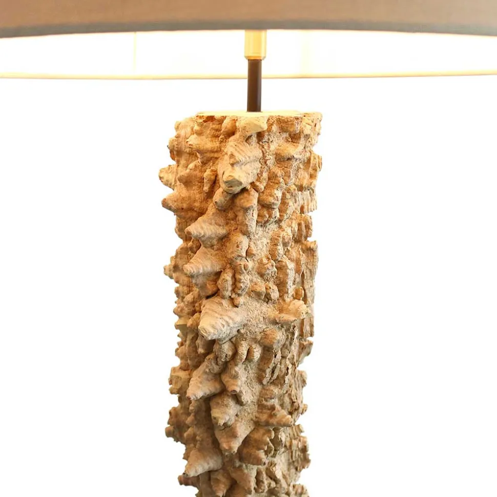 Extravagante Stehleuchte aus Treibholz - Cancan