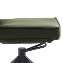 Federkern Lederstühle in Oliv Grün - Synfrunia (2er Set)