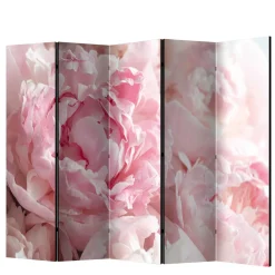 Foto Paravent Close Up Rosen in Rosa - Soms