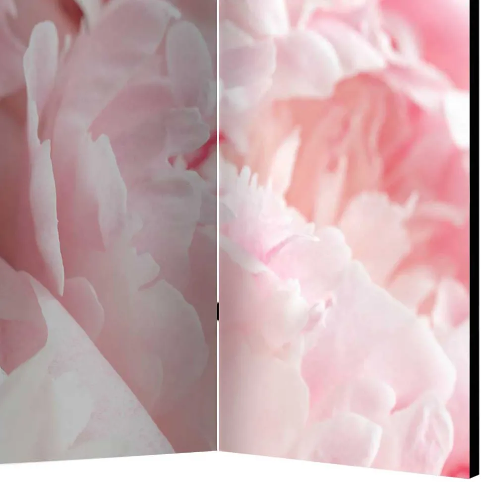 Foto Paravent Close Up Rosen in Rosa - Soms