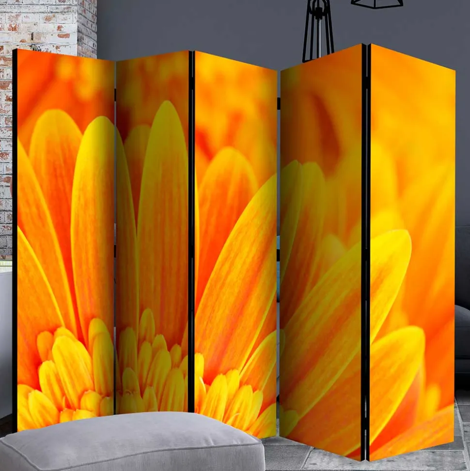 Foto Paravent Gelbe Gerbera Close Up - Apulco