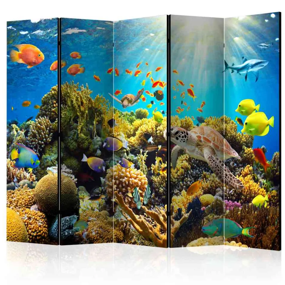 Foto Paravent Korallenriff & Meerestiere - Ceskan