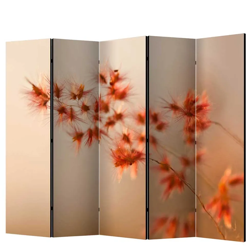 Foto Paravent mit Naturmotiv Gras Close Up - Kesska