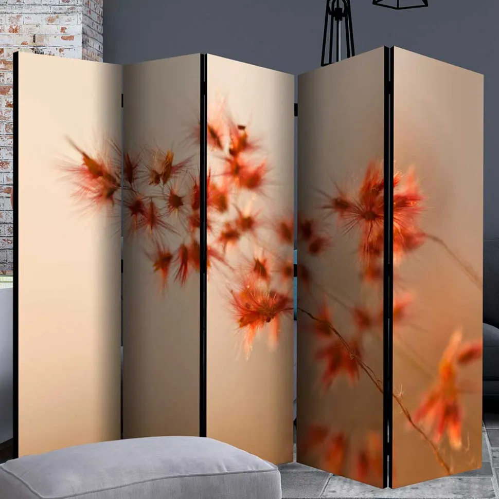 Foto Paravent mit Naturmotiv Gras Close Up - Kesska