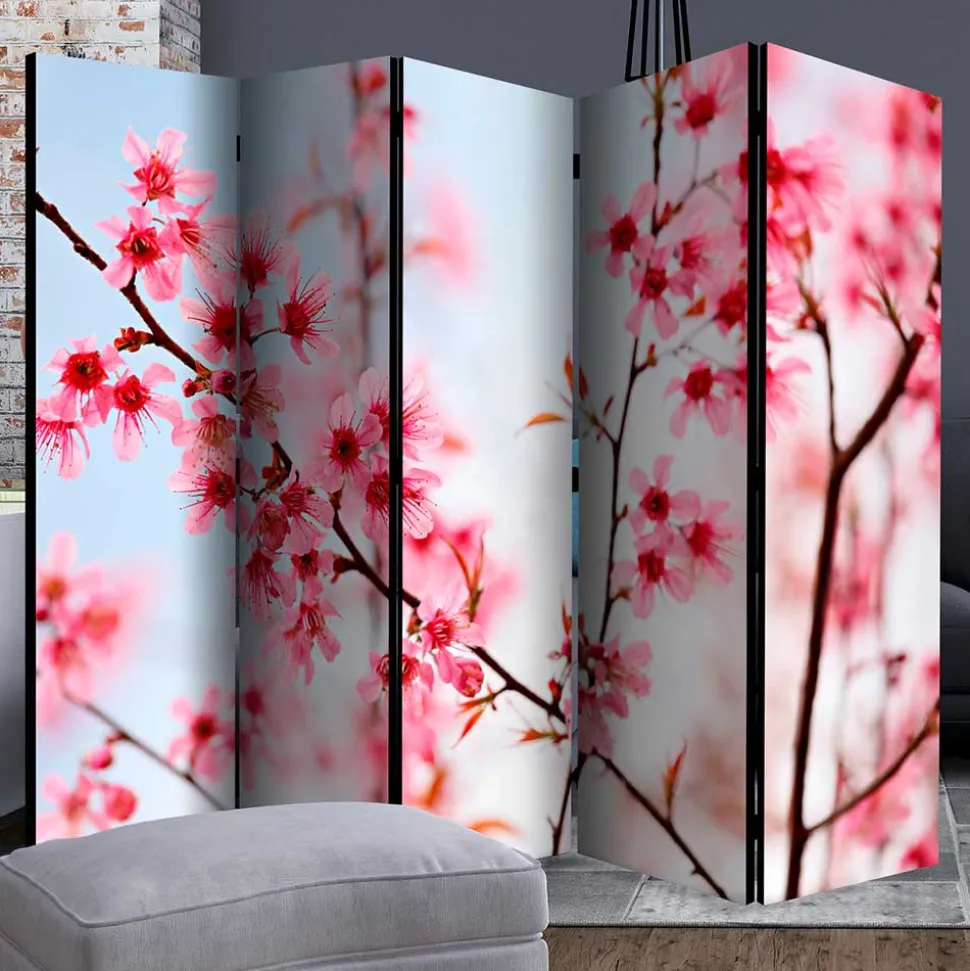 Foto Trennwand Kirschblüte in Rosa & Blau - Filler