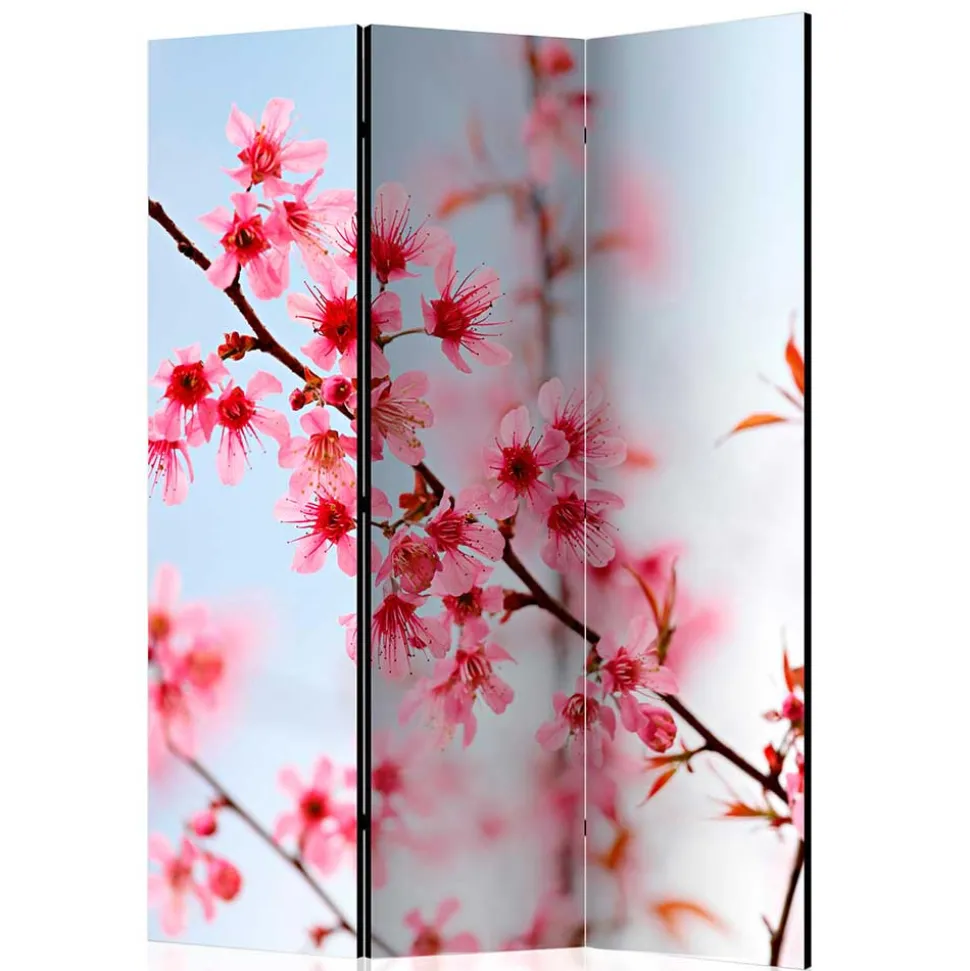 Foto Trennwand Kirschblüte in Rosa & Blau - Filler