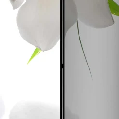 Foto Trennwand mit Asien / Zen Motiv - Siela