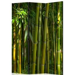 Fotodruck Paravent Bambus Halme & Blätter - Lecodas