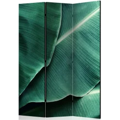 Fotomotiv Paravent mit Close Up Bananenblätter - Yanicol