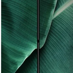 Fotomotiv Paravent mit Close Up Bananenblätter - Yanicol