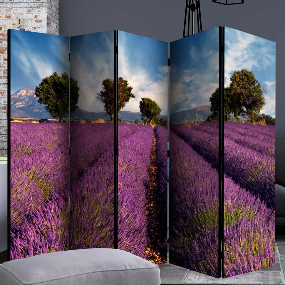 Fotomotiv Raumteiler Lavendelfeld Provence - Ozaro