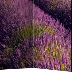 Fotomotiv Raumteiler Lavendelfeld Provence - Ozaro