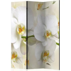 Fotoprint Leinwand Paravent Weiße Orchideen - Aury