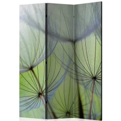 Fotoprint Paravent Close Up Pusteblume - Shalima