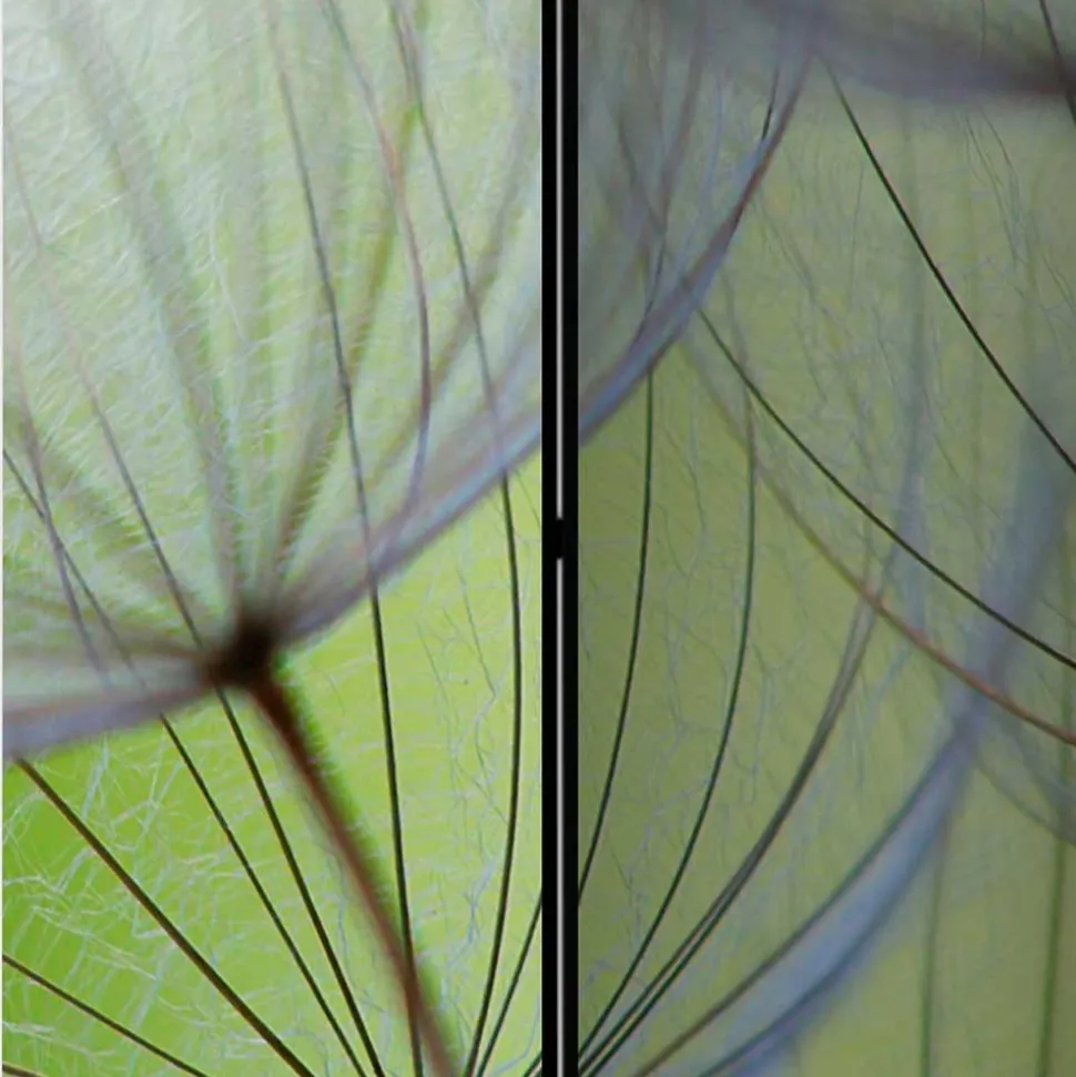 Fotoprint Paravent Close Up Pusteblume - Shalima