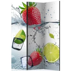 Fotoprint Raumtrenner mit Früchten Wasser Eis - Piratro