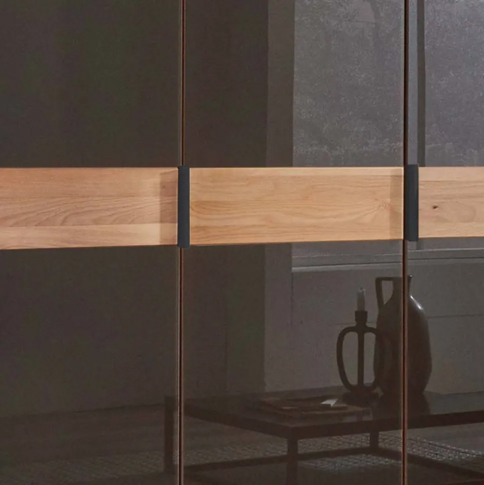 Glasfront-Schlafzimmerschrank in Dunkelbraun - Hung