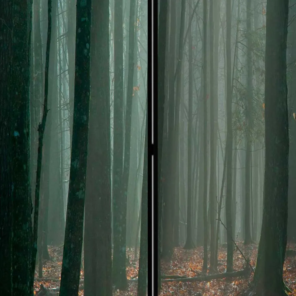 Klappbarer Paravent Herbstwald Fotodruck - Stacie