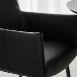 Leder Armlehnenstuhl in Schwarz - Iliandro (2er Set)