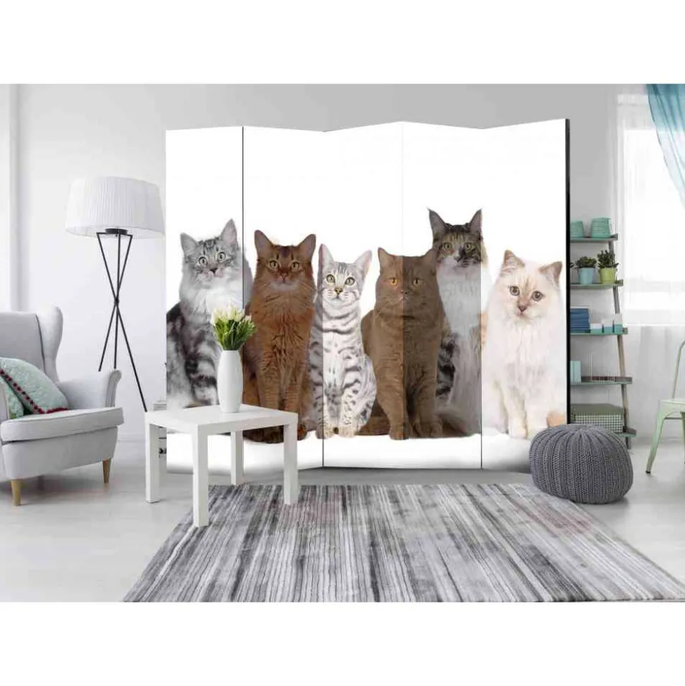 Leinwand Paravent mit Katzen Foto - Jalana