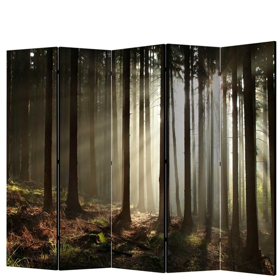 Leinwand Paravent mit Naturmotiv Wald - Nadiola